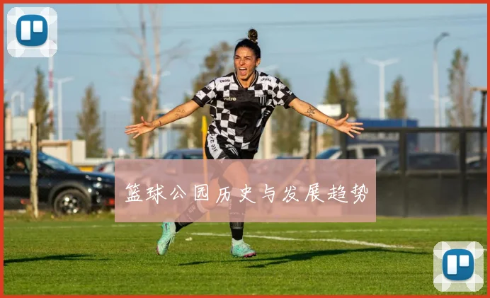 篮球公园历史与发展趋势