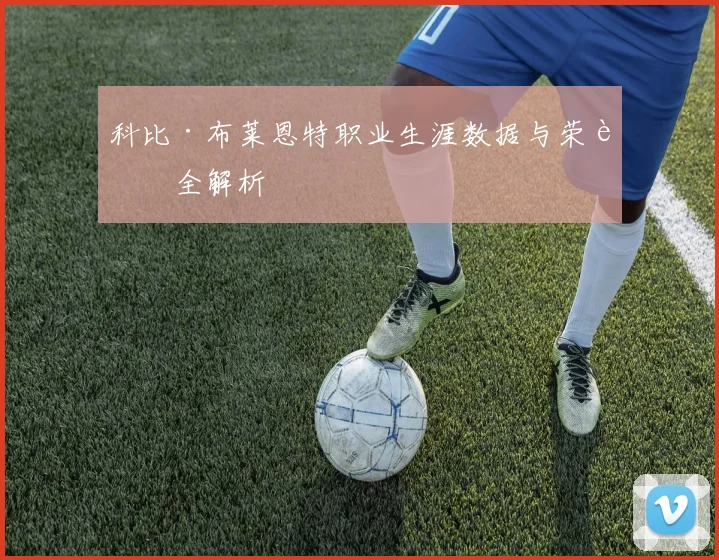 科比·布莱恩特职业生涯数据与荣誉全解析
