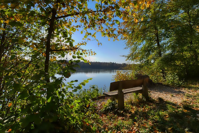 这项简单的 这项简单的