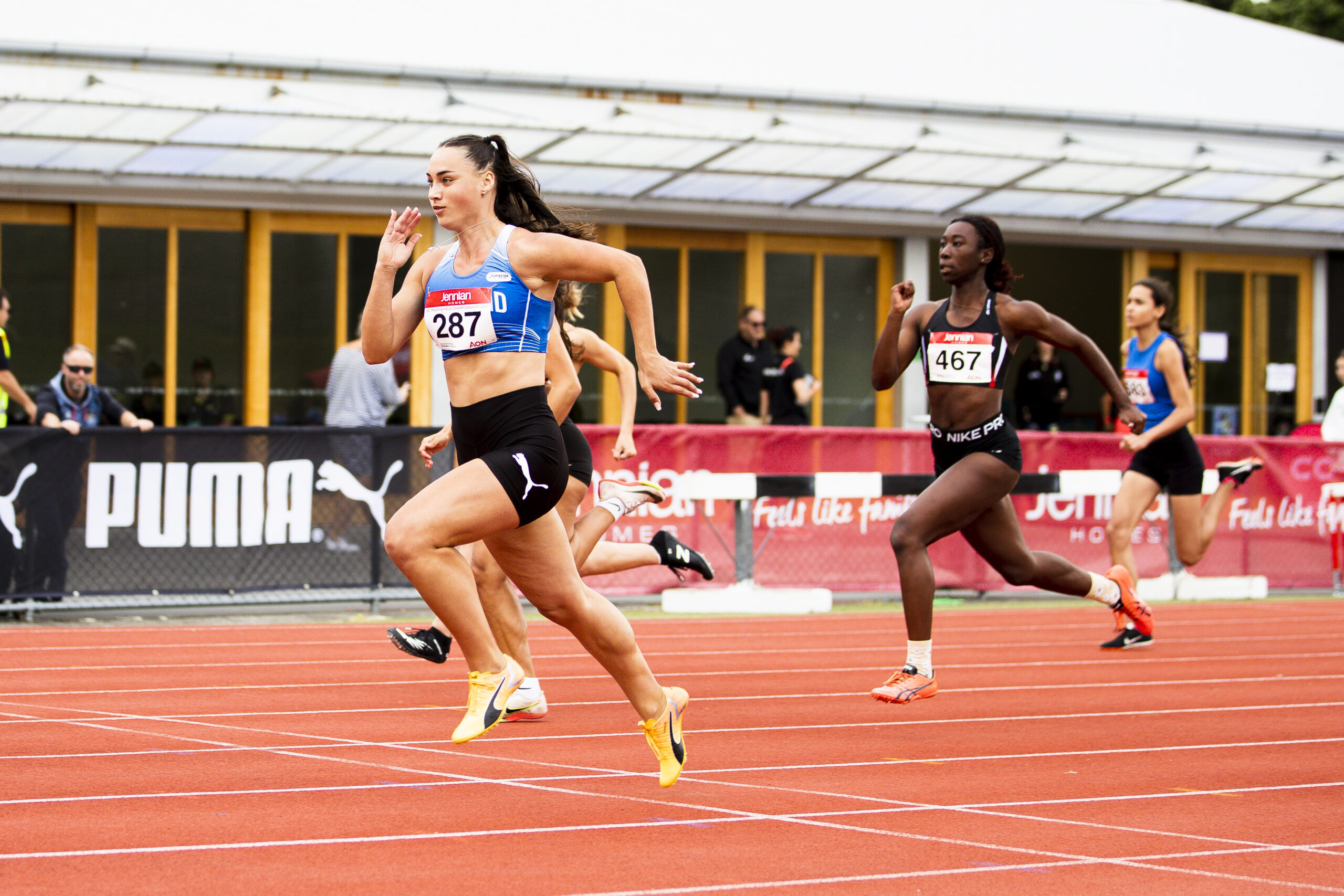 根据以往的 根据以往的